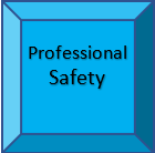 Professional Safety